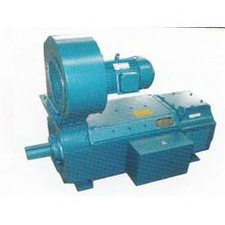 電機(jī) 直流電機(jī)哪家好 天脈機(jī)電 多圖