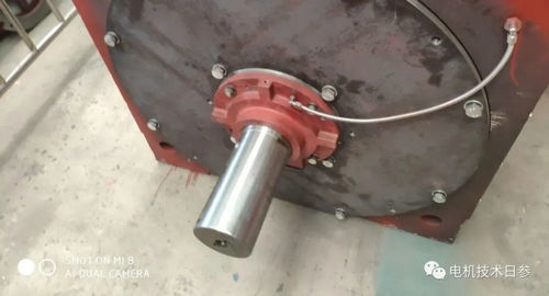 電機產品軸承系統中,固定端與自由端的選擇原則是什么