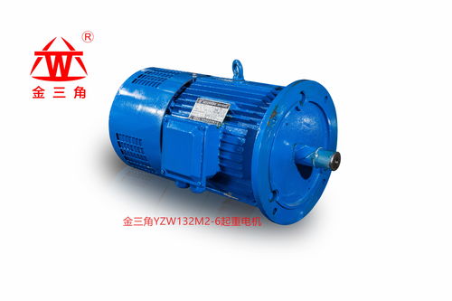 金三角起重電機 品質(zhì)與多樣性的完美結(jié)合